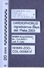 Etiketten zu Zygocardiophorus nigratissimus (Buysson, 1891) (NHMW-ZOO-COL-0006814)